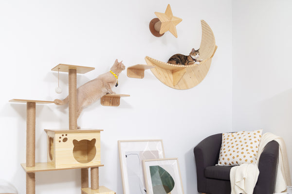 How to stop cat from being naughty? | MYZOO Design