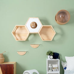 A brown cat perch on a hexagon shape cat shelf which is mounted on wall.
