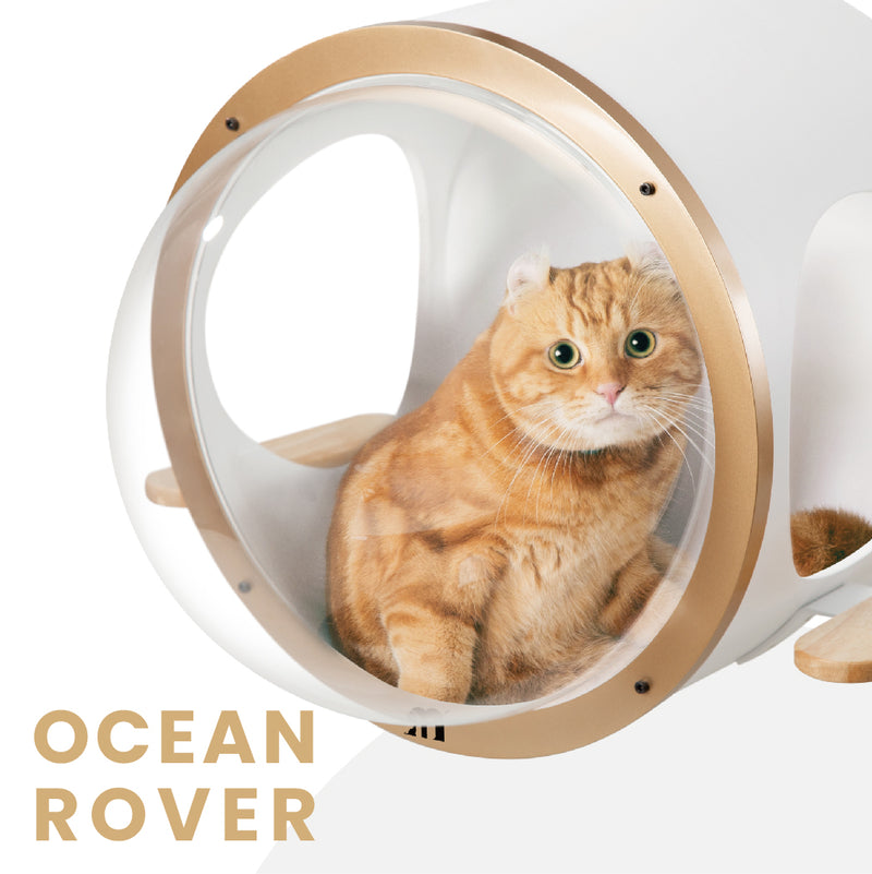 【BED】Spaceship Ocean Rover Cat Bed | MYZOO