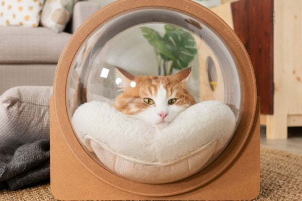 A fluffy cat stay in a cat bed with relaxation. Cat lovers can totally see their cats cuteness from the outside. It is an cat bed made with acrylic dome and pinewood in walnut color.