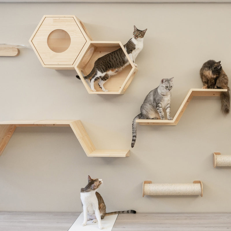 【STEPPER】Zone Cat Steps, Cat Perch, Cat Shelf | MYZOO