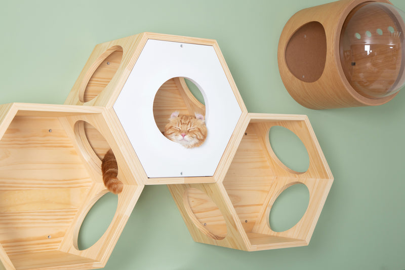 The hole on cover plate is a perfect place for felines to nap on it. Cats would feel secured and safe with the wooden made cat furniture.