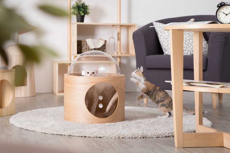 Gamma is designed to a cocoon-like cat bed that includes a clear acrylic dome.