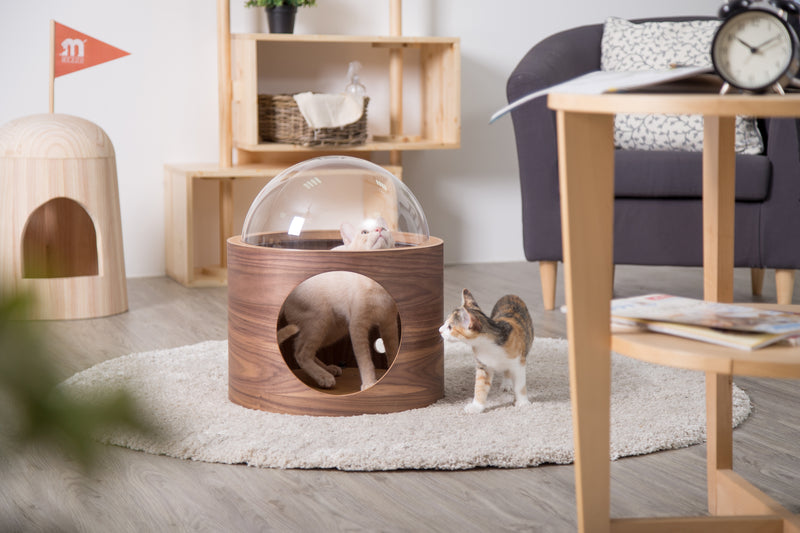 The clear acrylic dome add extend version for cats to look out.