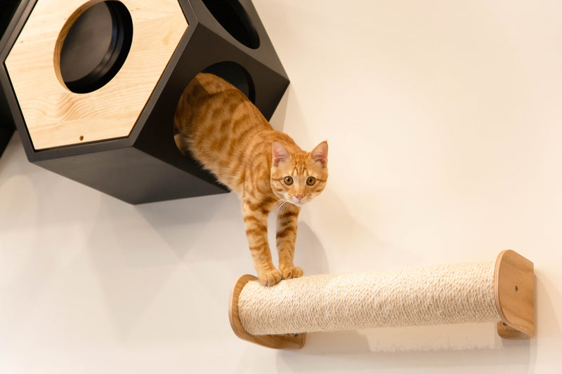 The wall-mounted scratcher post is sturdy enough for standing on.
