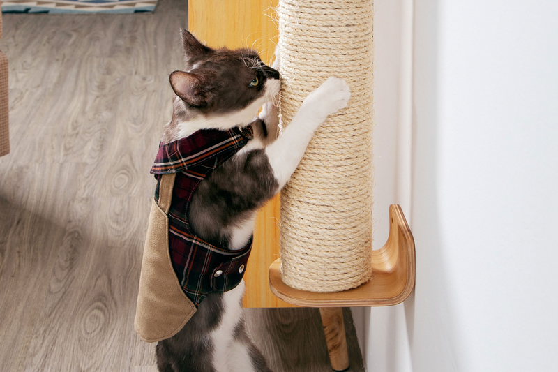 A black and white cat is scratching on Cylinder, a wall-mounted cat scratcher. Cylinder can be placed on the floor in vertical way.
