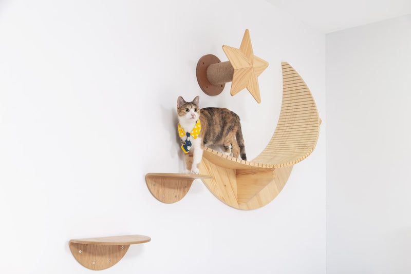 Felines can walk safe and quiet on wall-mounted cat beds and enjoy their own spot.