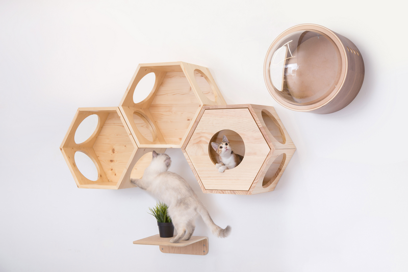 Wooden floating cat bed allows cat hide inside of it and look out from the cover plate. Multi-cat family can share cat bed together.