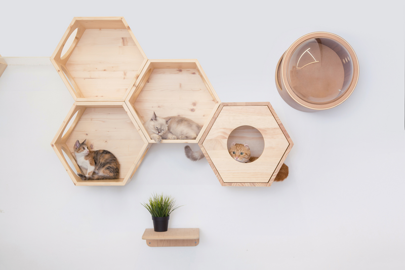 Wall-mounted cat bed contains many cats. Every cats own their own spot. Hexagon shape create an innovative design to the interior.