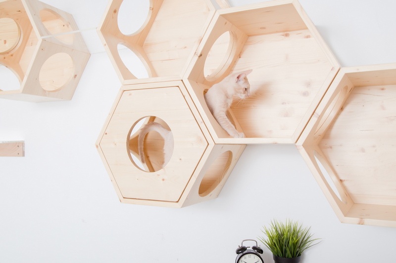 Feline friends love to climb and explore everywhere. Hexagon cat furniture can please them with the special design.