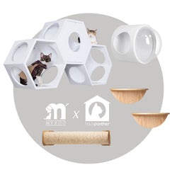 【BUNDLE】Hauspanther Bundle Set | Myzoo Design